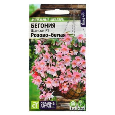 Цветы Бегония Шансон F1 Розово-белая ампельная клубневая /Сем Алт/цп 5 шт. Ампельные шедевры