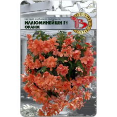 Бегония клубневая ампельная Иллюминейшн F1 Оранж