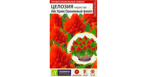 Целозия Айс Крим Оранжевый факел перистая (Семена Алтая) купить с ...