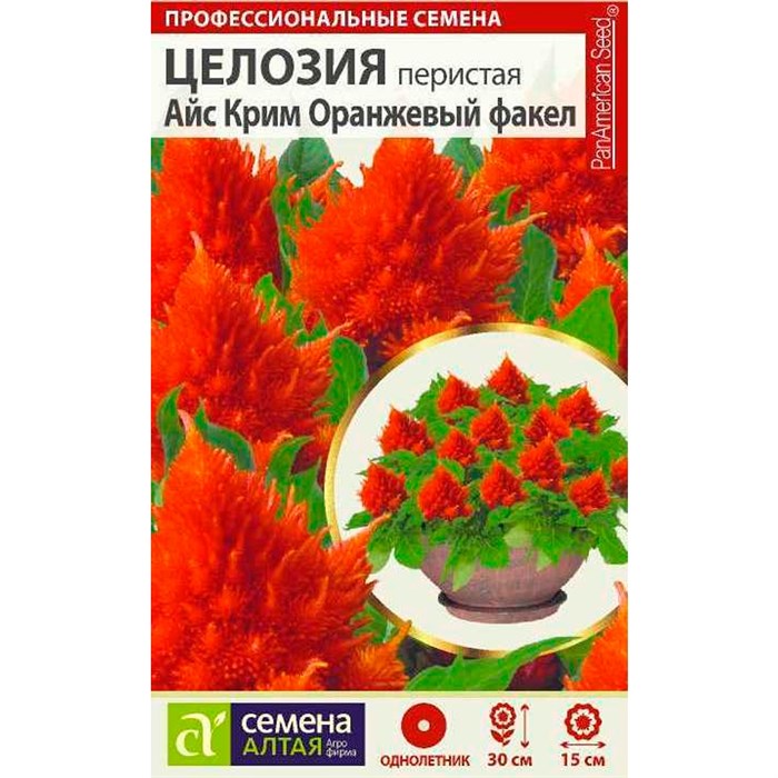 Целозия Айс Крим Оранжевый факел перистая (Семена Алтая) купить с ...