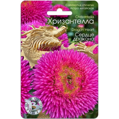 Астра Хризантелла Сердце Дракона