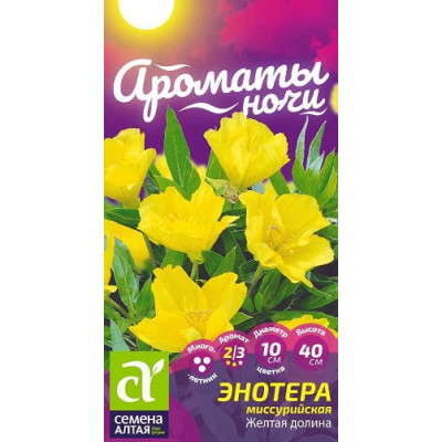 Энотера  миссурийская Желтая долина 