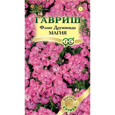 Флокс Магия Флокс Магия