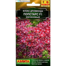 Флокс Попстарс Малиновый
