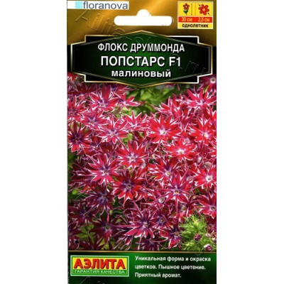 Флокс Попстарс Малиновый