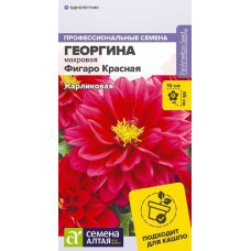 Георгин Фигаро Красная 