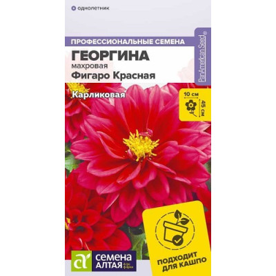 Георгин Фигаро Красная 