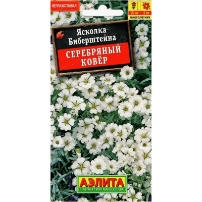 Ясколка  Серебряный ковер  