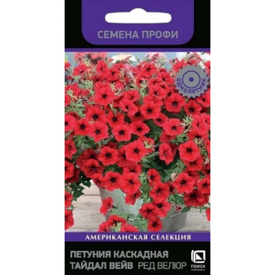 Петуния Тайдал Вейв Ред Велюр