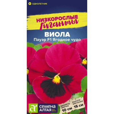 Виола Пауэр F1 Ягодное чудо 