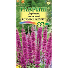 Дербенник Розовый жемчуг