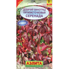 Девичий виноград Серенада (2027; 313.01.03 /1)