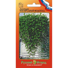 Дихондра Изумрудный водопад 