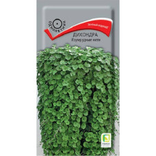 Дихондра Изумрудные нити 5шт