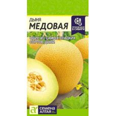 Дыня Медовая