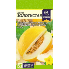 Дыня Золотистая