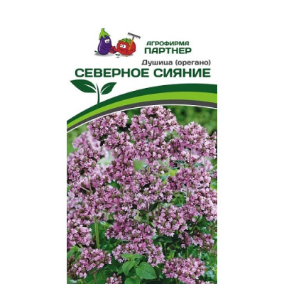 Душица (орегано) СЕВЕРНОЕ СИЯНИЕ  