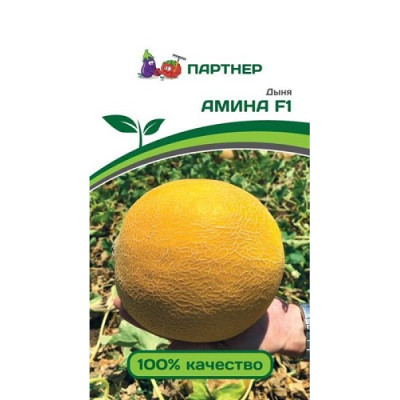 Дыня АМИНА F1 