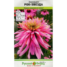 Рудбекия Эхинацея Рок-Звезда
