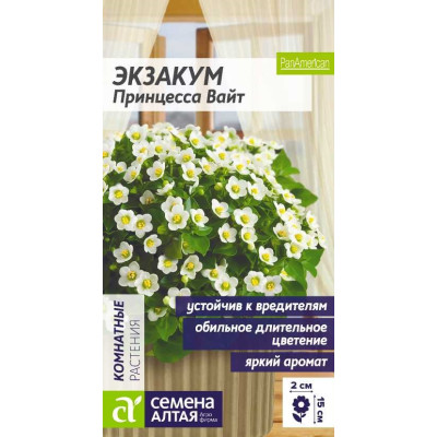 Экзакум Принцесса Вайт