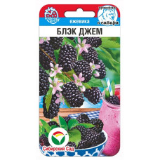 Ежевика Блэк Джем