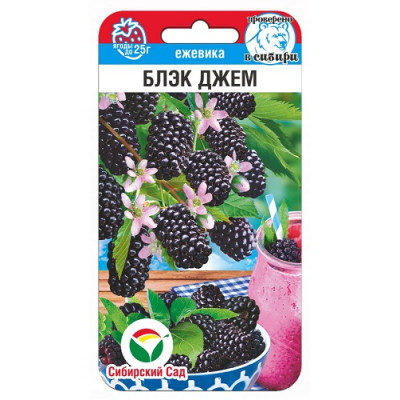 Ежевика Блэк Джем