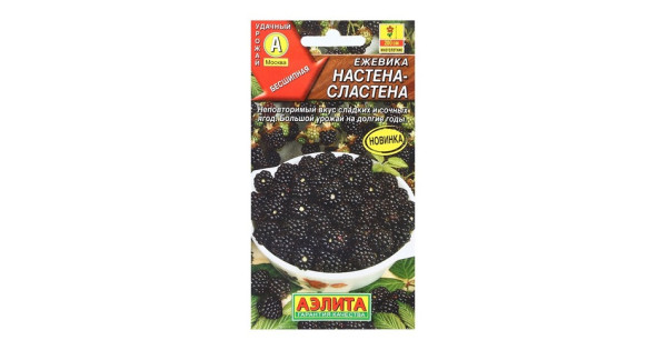 Ежевика Настена-сластена купить с доставкой в интернет-магазине Чистый Мир.