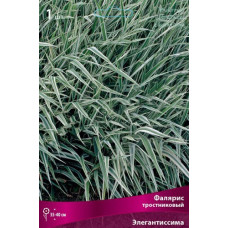 Фалярис тростниковый Элегантиссима 
