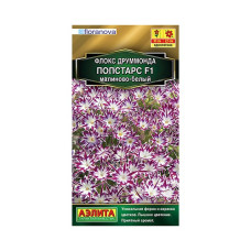 Флокс друммонда Попстарс F1 малиново-белый 