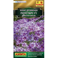 Флокс друммонда Попстарс F1 фиолетовый