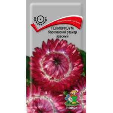 Гелихризум Королевский размер красный