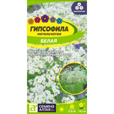 Гипсофила Белая метельчатая