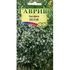 Гипсофила ползучая белая (Гавриш)