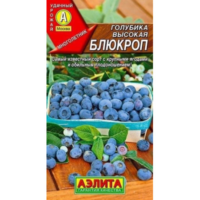 Голубика высокая Блюкроп