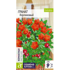 Гранат карликовый