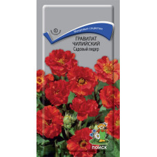 Гравилат чилийский Садовый лидер  