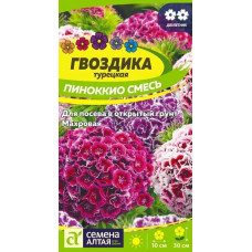 Гвоздика турецкая Пиноккио