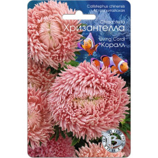 Астра Хризантелла Коралл (Биотехника)
