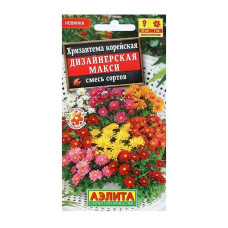 Хризантема Дизайнерская макси, смесь сортов