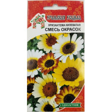Хризантема килеватая Смесь окрасок