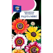 Хризантема Радуга микс килеватая