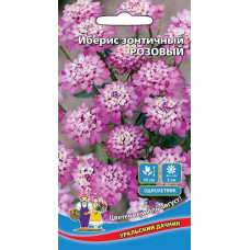 Иберис Розовый  