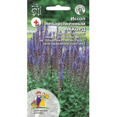 Иссоп лекарственный Аккорд