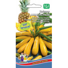 Кабачок Ананасный (Уральский Дачник)