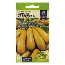 Кабачок Бананы на грядке F1