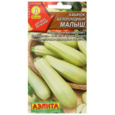 Кабачок Малыш