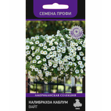 Калибрахоа Каблум Уайт (ЗСА)