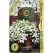 Калибрахоа гибридная Вайт Каблум