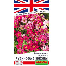 Камнеломка Рубиновые звезды  