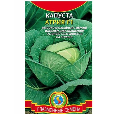 Капуста Атрия F1 Капуста Атрия F1